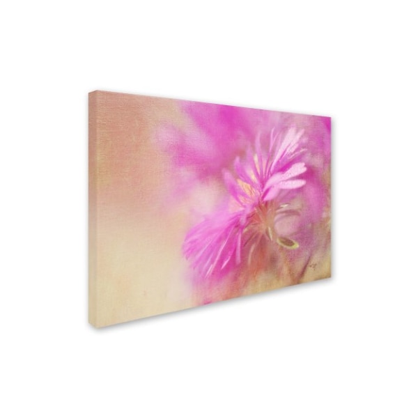 Lois Bryan 'Dewy Pink Aster' Canvas Art,22x32